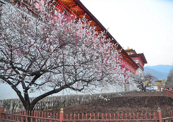 不丹自由行,如何規劃不丹旅遊?