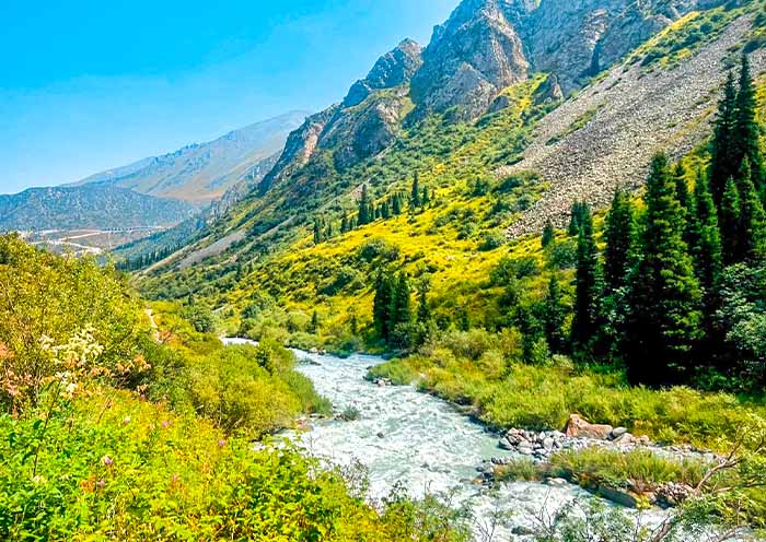 阿拉阿查國家公園