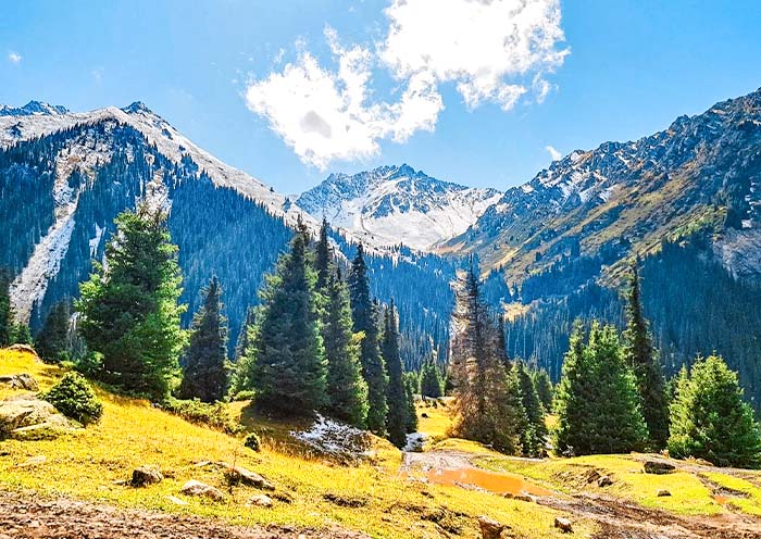 阿拉阿查國家公園 阿拉阿查國家公園