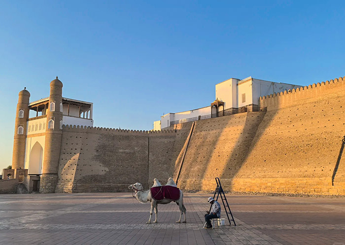 烏茲別克斯坦絲綢之路六日遊：塔什干+布哈拉+撒馬爾罕