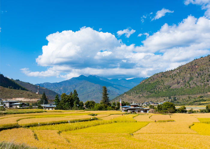 不丹旅游攻略 不丹旅游