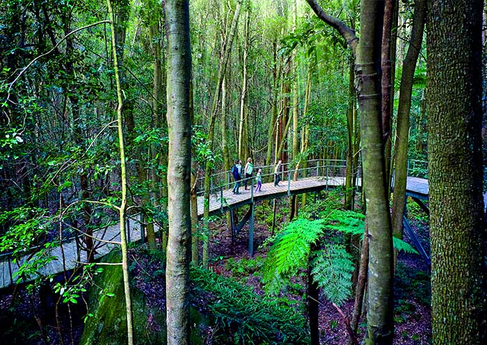 藍山國家公園