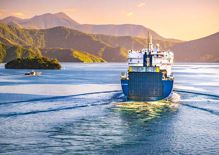 庫克海峽 庫克海峽