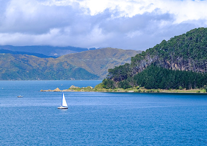 庫克海峽 庫克海峽