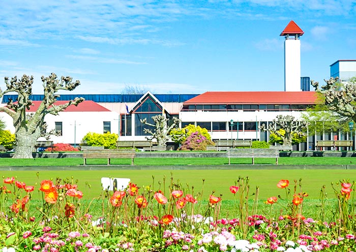 政府花園 政府花園