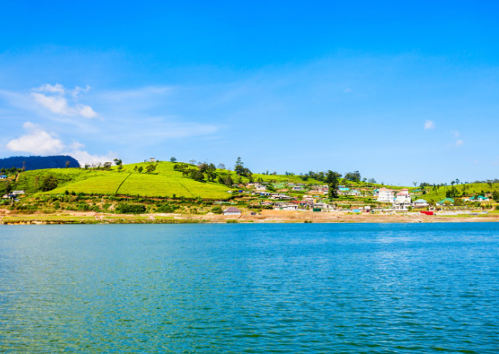 格雷戈裡湖 格雷戈裡湖