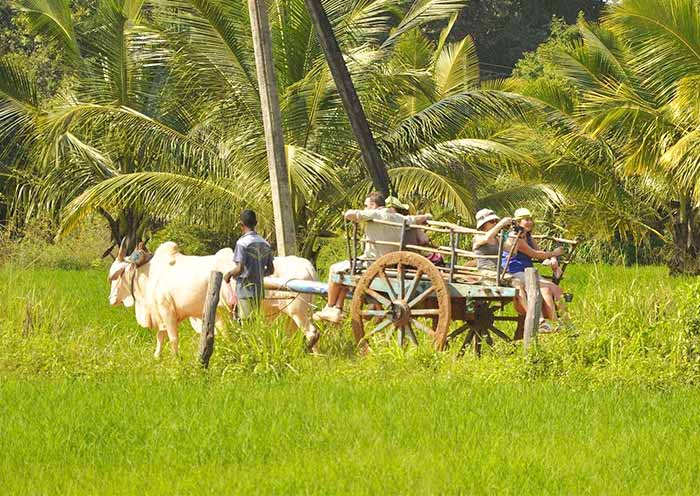 希裡瓦杜納村 希裡瓦杜納村