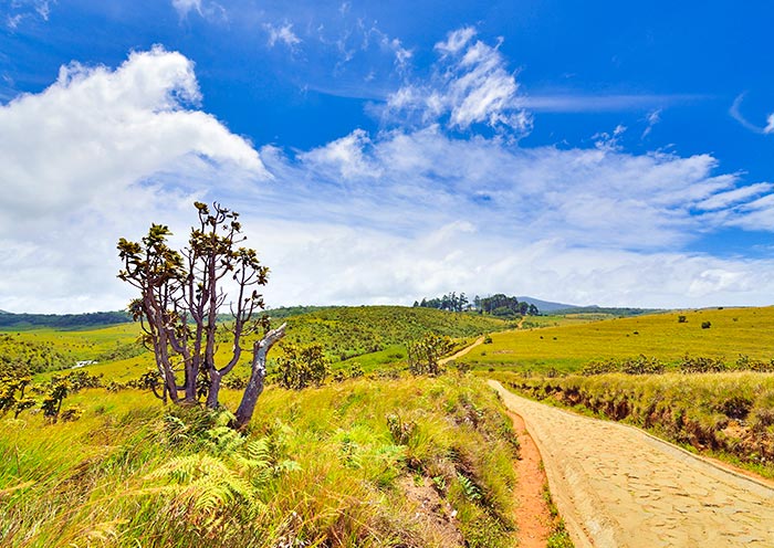 霍頓平原國家公園 霍頓平原國家公園