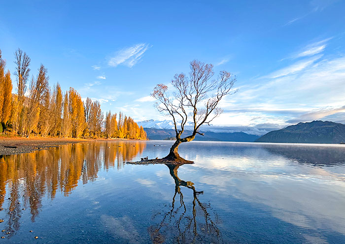 瓦納卡湖 瓦納卡湖