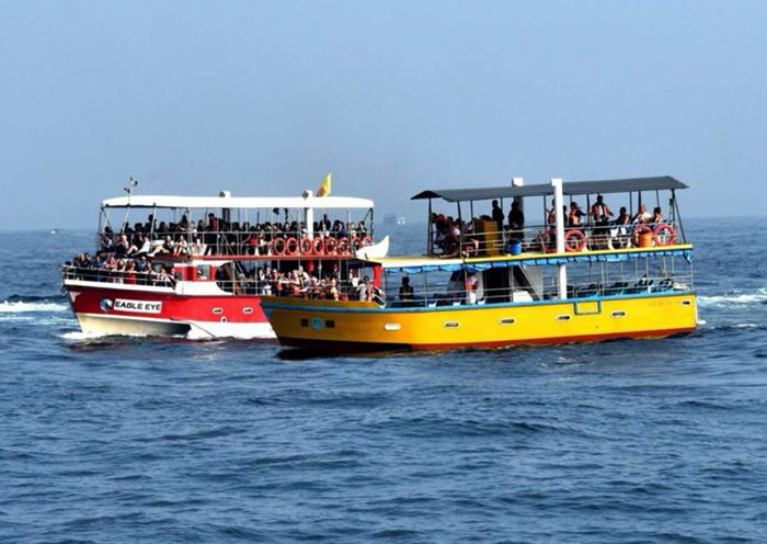 美蕊沙遊船觀鯨 美蕊沙遊船觀鯨