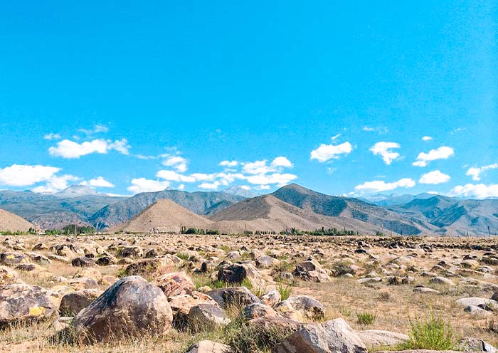 岩畫博物館 岩畫博物館