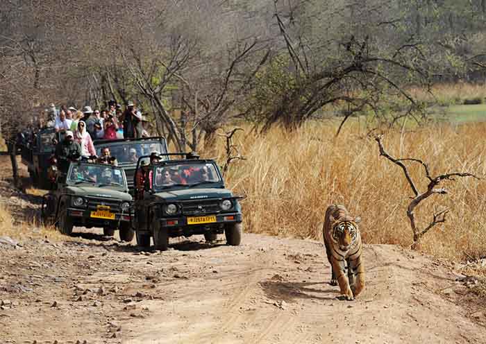 去印度旅遊前,你必須瞭解的關於錢的11個問題