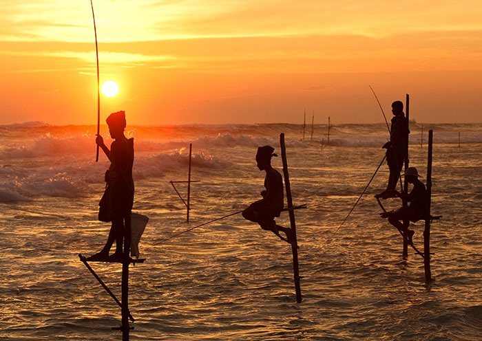 高蹺立釣 高蹺立釣