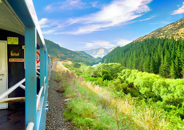 TranzAlpine高山觀景火車 TranzAlpine高山觀景火車