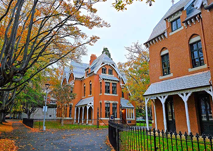 奧塔哥大學 奧塔哥大學