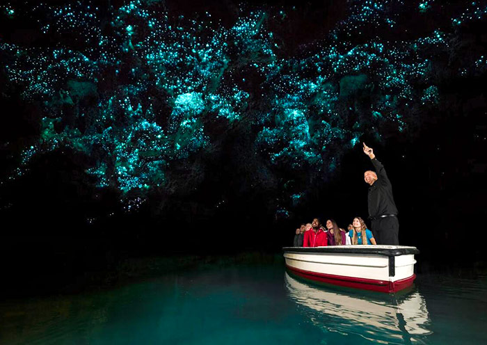 懷托摩螢火蟲洞 懷托摩螢火蟲洞