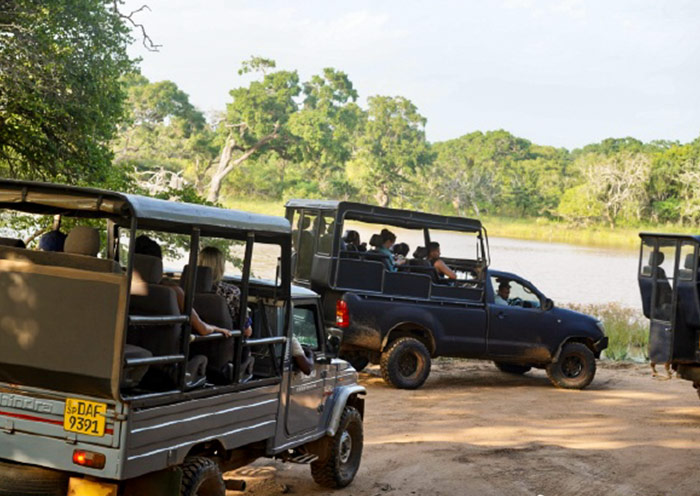 雅拉國家公園 雅拉國家公園
